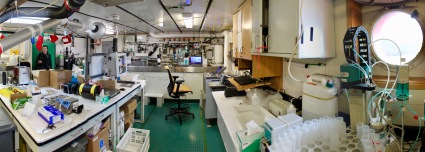One of the Palmer's fancy labs